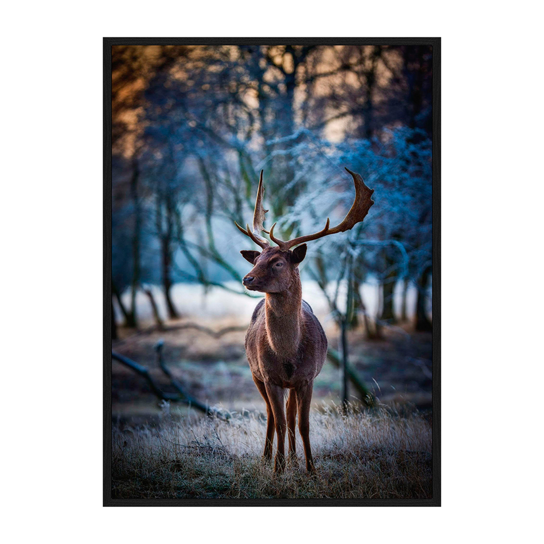 Wall Art Winter Deer 100x140