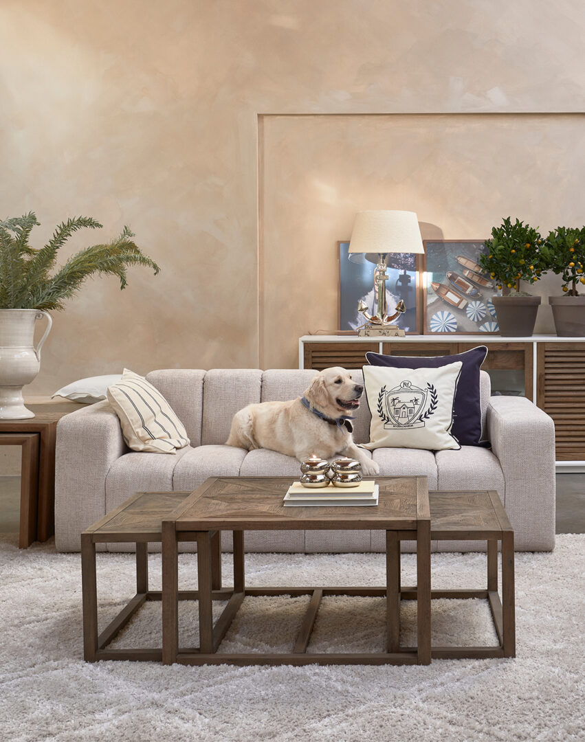 Dazzle_Image_1080x1370px_10