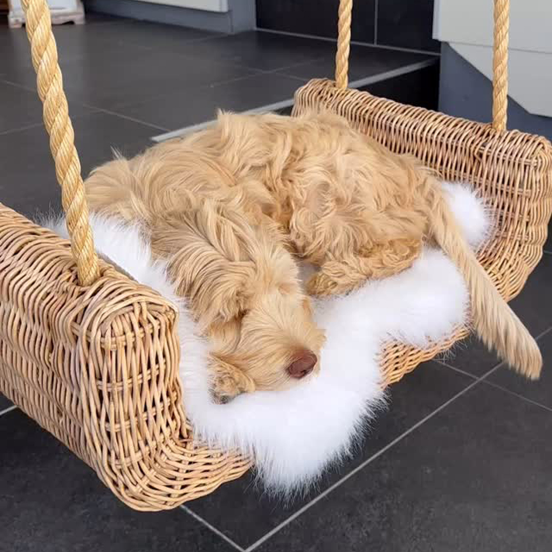 Home_Share your home_1080x1080px_3