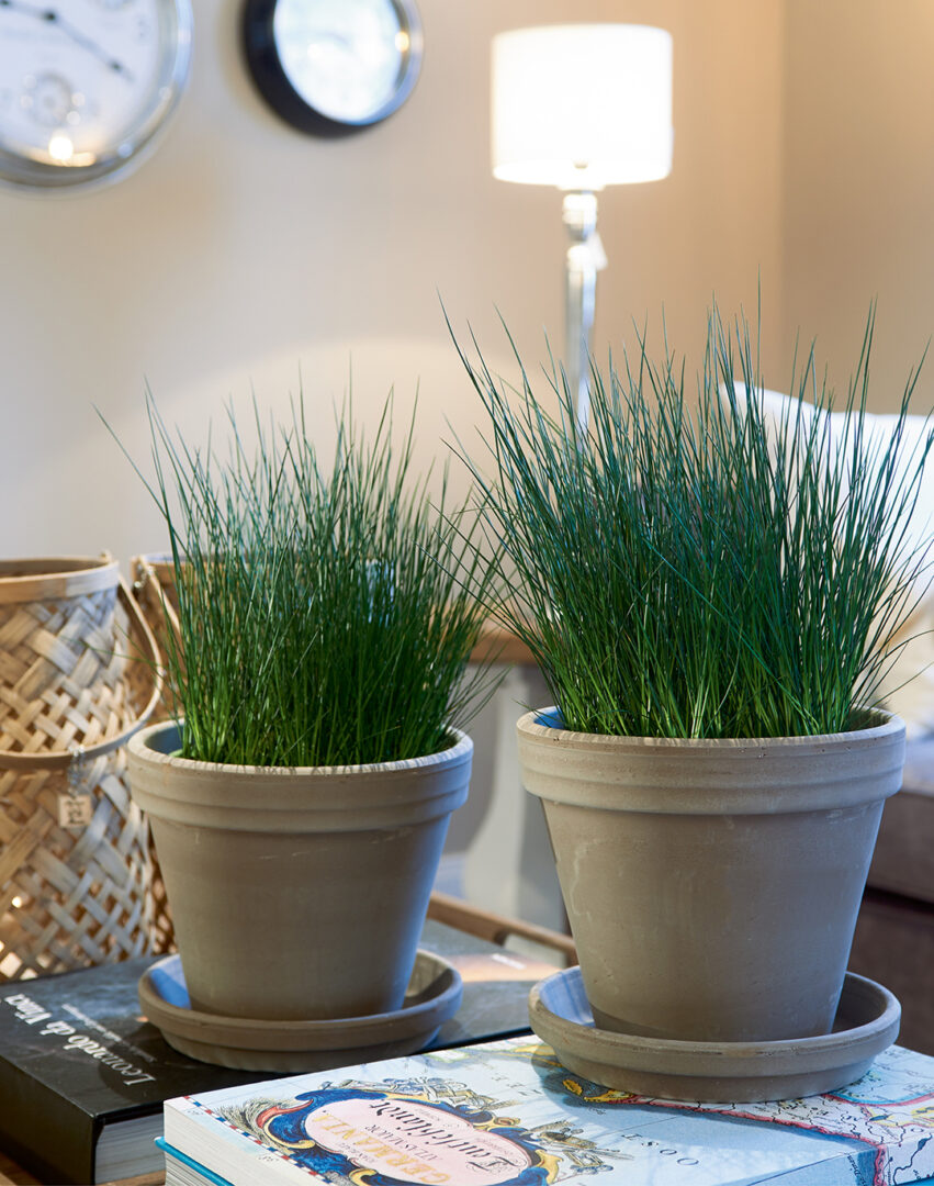 Beach Motel_Image_1080x1370px_4