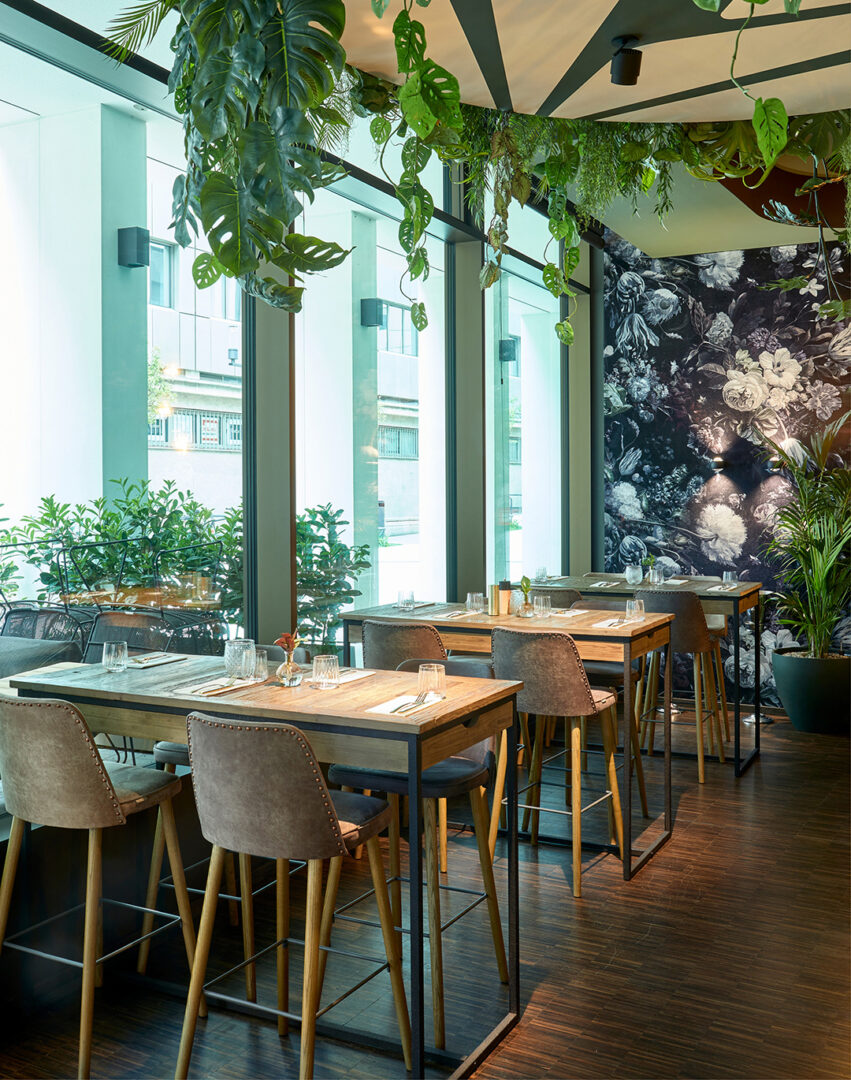 Malo_Image_1080x1370px_3