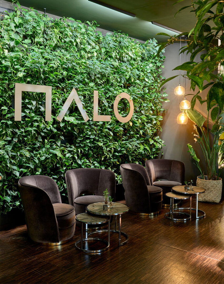 Malo_Image_1080x1370px_4