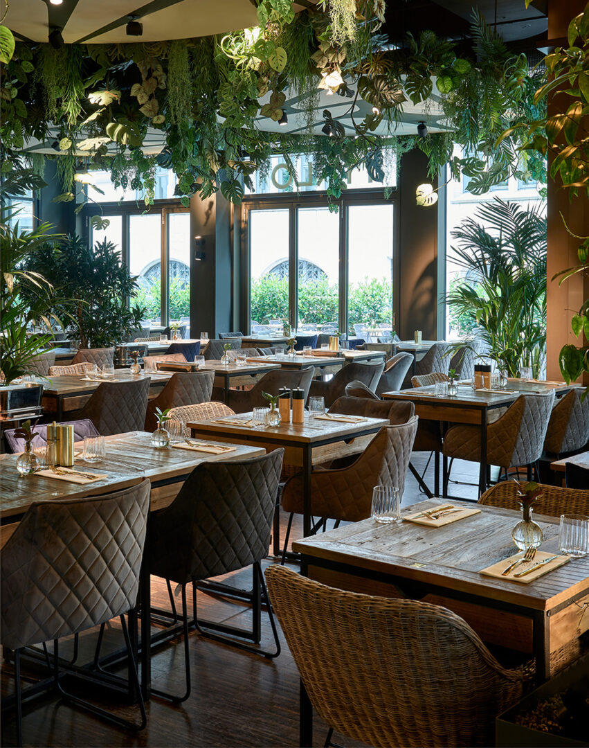 Malo_Image_1080x1370px_5