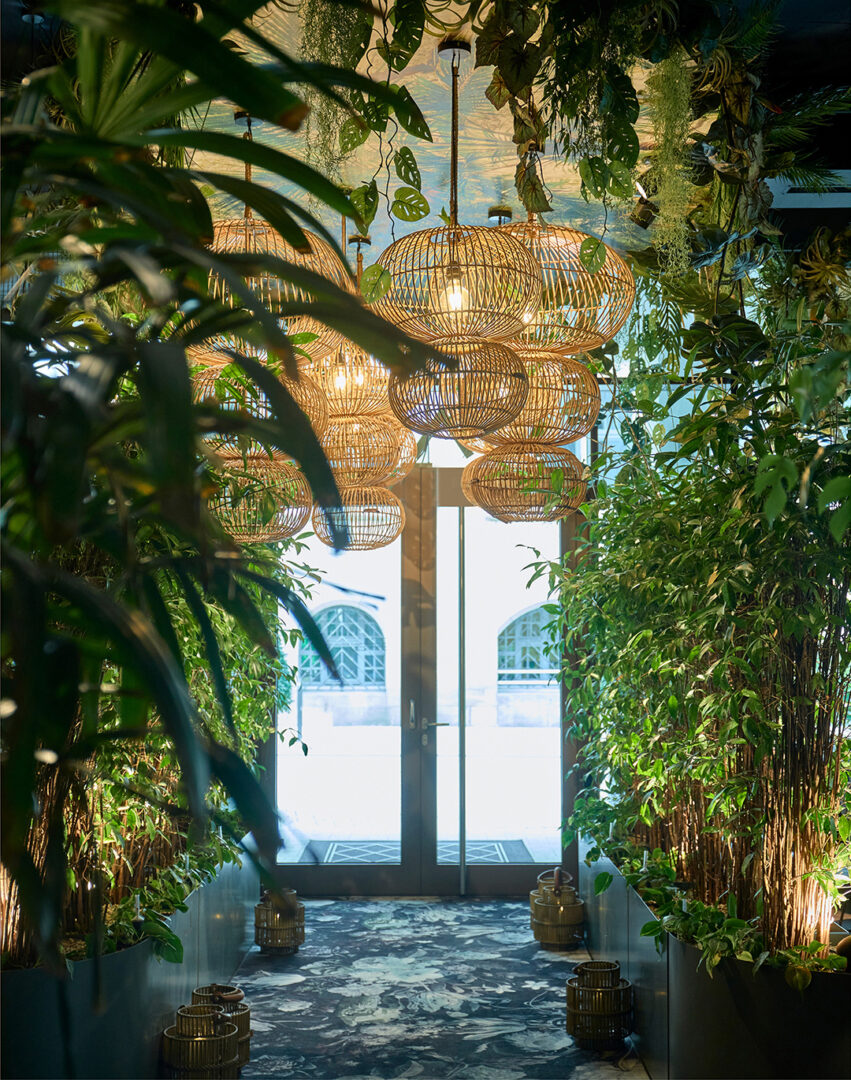 Malo_Image_1080x1370px_9