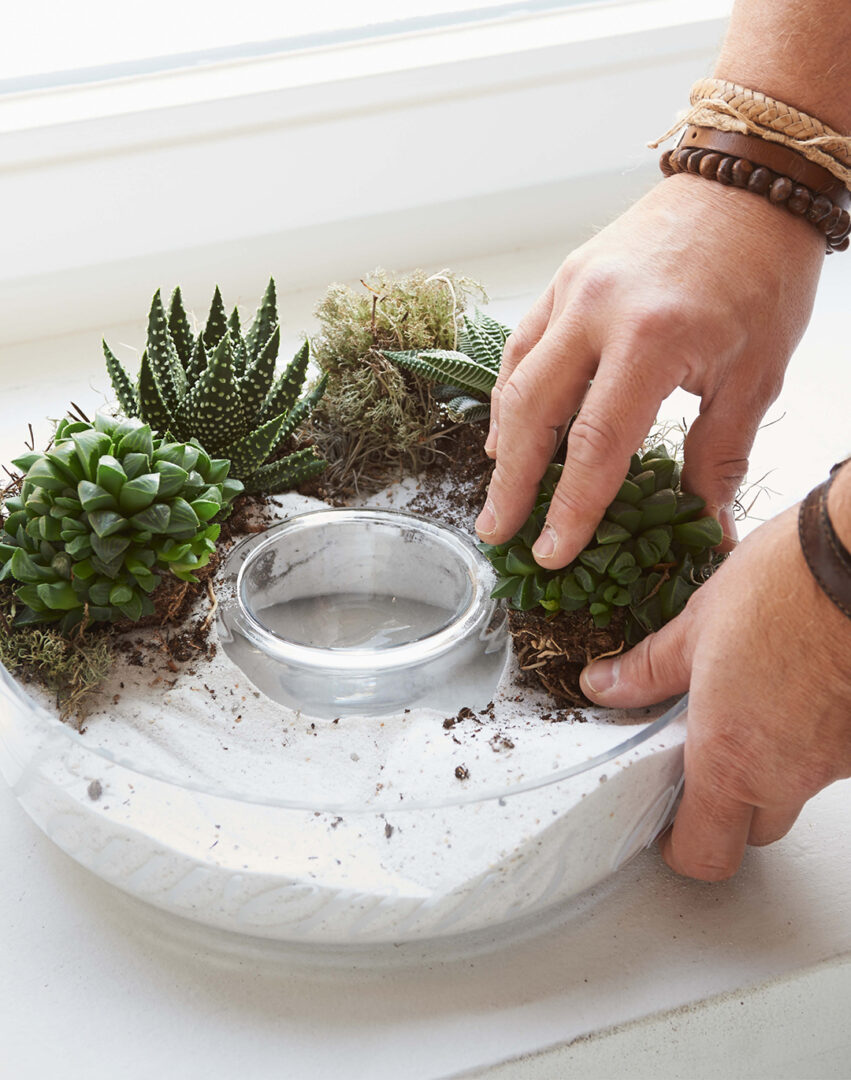 How to_Image_1080x1370px_Succulenten_4